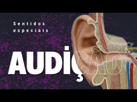 SISTEMA AUDITIVO: anatomia e fisiologia da audição