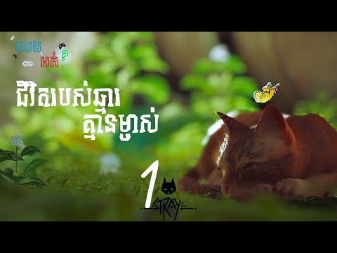 STRAY PS5 Walkthrough Gameplay Part 1 - INTRO (FULL GAME)