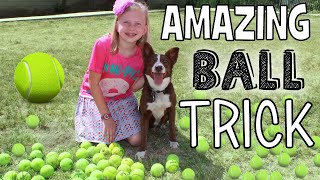 Smartest Dog in the World!!!  Super Amazing Dog Ball Trick!