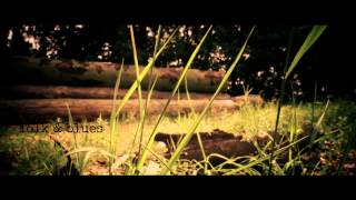 Muddy Roots Music Festivals 2014