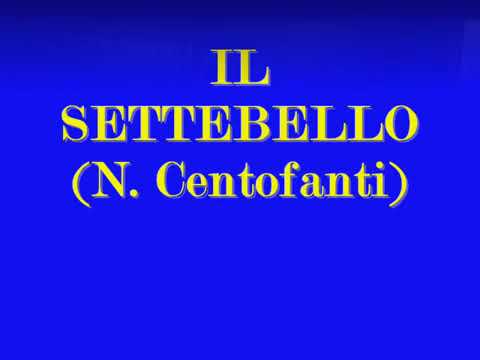 IL SETTEBELLO (N. Centofanti) - Gran Concerto Bandistico "F. Fenaroli" Città di LANCIANO (Ch)