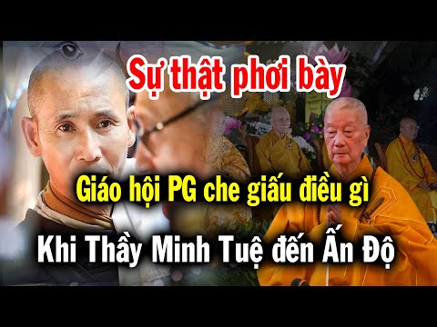 Chấn Động, Sự thật Giáo Hội Phật Giáo đã che đậy điều này, vì sự xuất hiện của Thầy Minh Tuệ