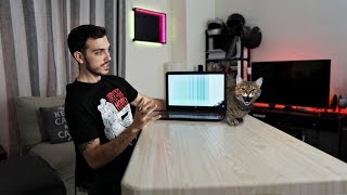 Όταν η γάτα σου σπάει την οθόνη! (Οδηγός επισκευής laptop)