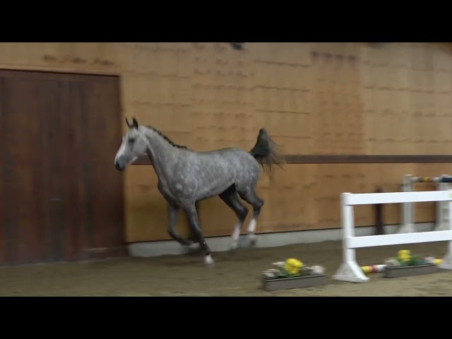 jumping