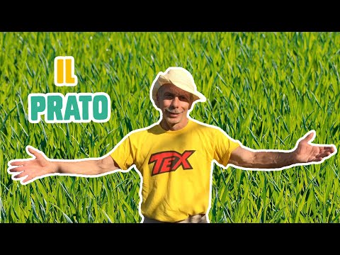 GIOVA LOVES NATURE 🌳 - Ep.17 - Alla scoperta del PRATO!