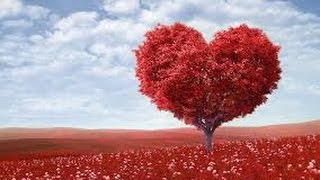 Brandi Carlile- Keep Your Heart Young Lyrics HD