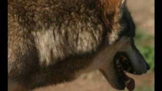 ΜΙΧΑΛΗΣ ΤΕΡΖΗΣ   Μόνο ένας θεός το ξέρει