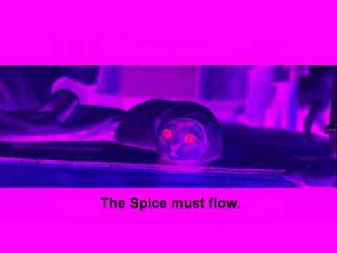 EON- The Spice Must Flow 1991