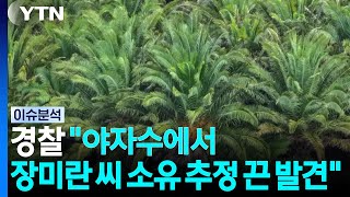 Download lagu 경찰 '야자수에서 장미란 씨 소유로 추정되는 끈 발견' [이슈ON] / YTN mp3