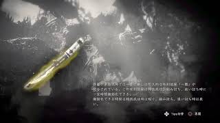 仁王2  lv.1 術禁止 +9 挑戦 奈落1～