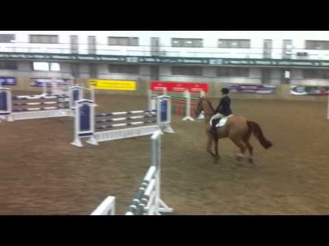 Sian Price & Columbo NImbus (Cloud) @ Hartpury college 6th