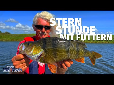 GROßBARSCHE ESKALIEREN auf diese METHODE - UNSER ZIEL IST FISCH mit JÖRG OVENS