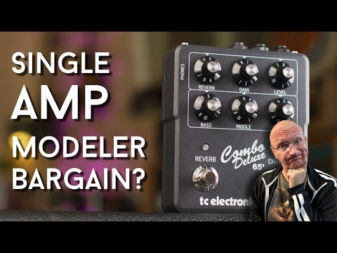 DAMN that is AFFORDABLE! TC Ampworks Deluxe Review