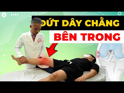 Đau Dây Chằng Bên Trong Đầu Gối Không Thể Đi Được? Cách Giảm Đau Tức Thì