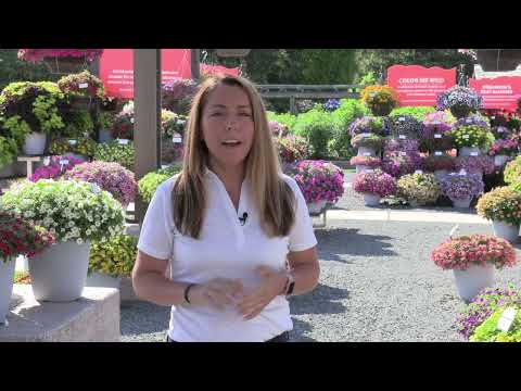 Ball FloraPlant - Ball Seed Customer Days 2022 thumbnail