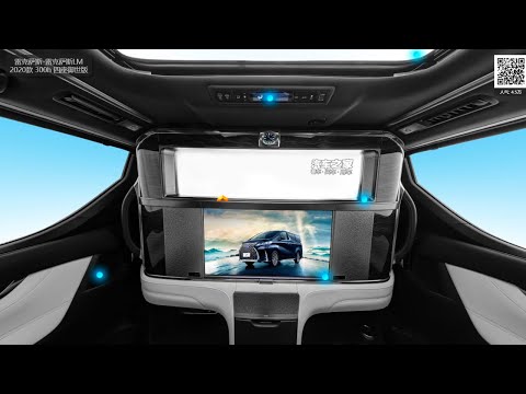 2020 Lexus LM | Panoramic mode 360°