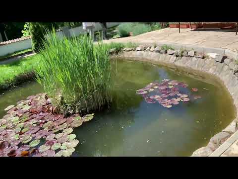 Mănăstirea Miclauseni IS prezentare de moment 🇷🇴Express 28-04-24