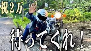 ２時間で１５１匹とヤエーをする。　【声真似】