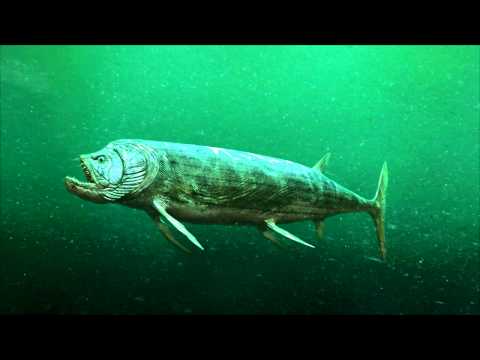 Xiphactinus swim cycle
