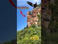 Garuda Pakshi Rock Formation In Tirumala Hills Govinda Govinda Shorts Short Shortvideo