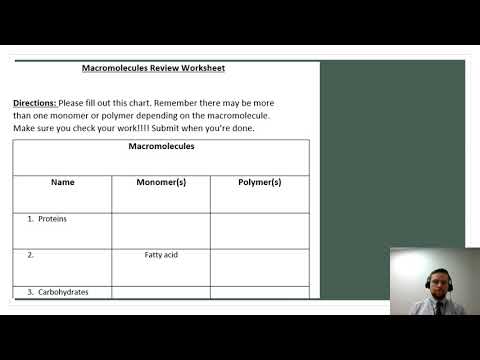 Get Your Macromolecule Worksheet For Back To School