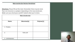 Macromolecule review worksheet video