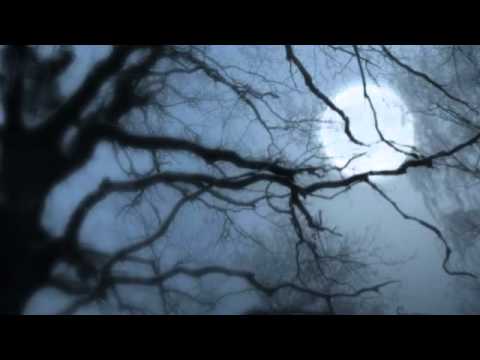 TACEREA NOPTII - Music and Lyrics: TONI URSACHI