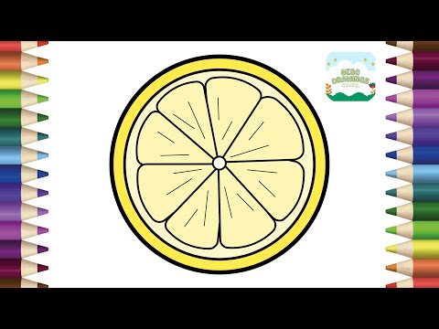 How To Draw Lemon Slice Step By Step | Easy Lemon Slice Drawing | Learn To Draw Lemon
