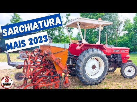 Intero processo di Sarchiatura del Mais | Fiat 500 & sarchiatore 6 file | Agricoltura che passione