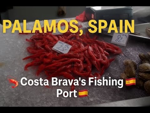 Palamós, Spain – Costa Brava’s Most Important Fishing Port 🦐🇪🇸