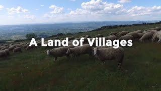 O Conceito e porquê o Mais Português?