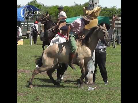 Rueda en Clina Les TENGO FE en Campo El Matrero en Macia Entre Rios
