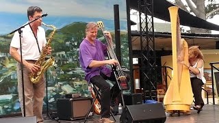 Lori Andrews jazz harpist 