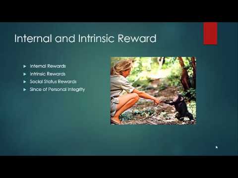 社會交換理論 (Social Exchange Theory)