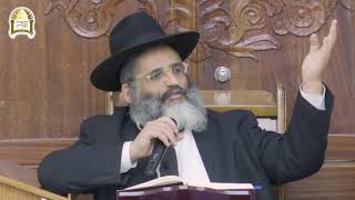 מצוות קידוש החודש וברכת הלבנה וטיפ גדול להצלחה בחיים - פרשת בא - הרה"ג הרב ישראל אברג'ל שליט"א