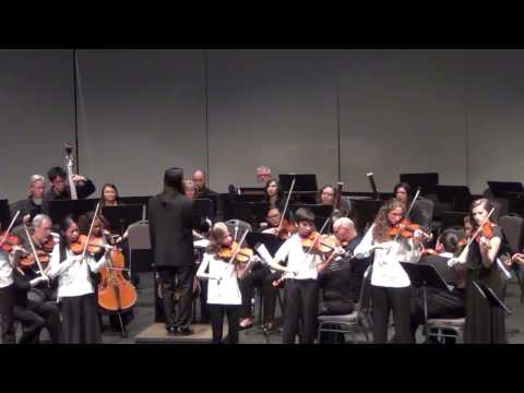 Concerto for 2 violins by Bach