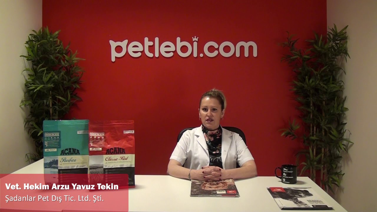 Acana Classics Classic Red Kuzu Etli ve Sığır Etli Düşük Tahıllı Köpek Maması 9,7kg tanıtım video görseli