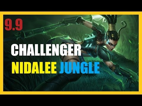Nidalee vs Elise Jungle-Ranked Challenger Patch 9.9 - KR Challenger