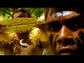 Black Rose Raude Clip Officiel