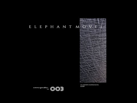 Vladimir Marinkovic-Elephant Moves (Original Mix)