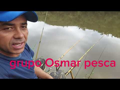 mais  uma pescaria  na ponte do bonde aéreo  em telemaco borba Paraná.