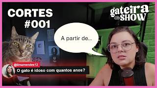 Quando o GATO já é IDOSO? | CORTES GATEIRA SHOW #001