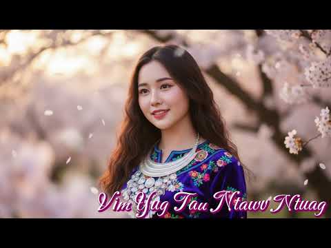 Vim Tau Daim Ntawv Ntuag Cover
