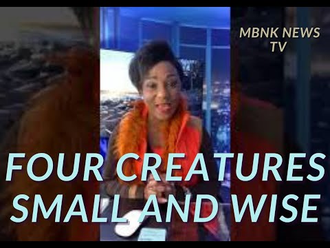 Four Creatures Small and Wise - so how much more You!!!!
