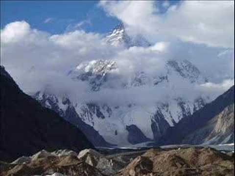 A écouter en préparant Endives au jambon gratinées