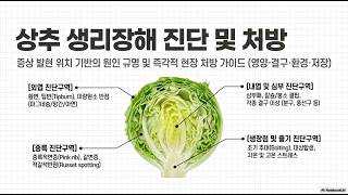 [농사정보] 상추_ 생리장해, 영영과잉, 영양결핍 진단 및 치료