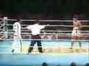 Tae kwon do vs Muay thai