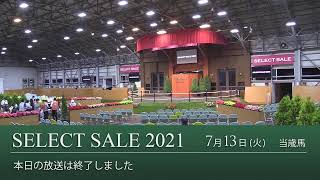 Re: [閒聊] (馬娘)當歲馬賽馬拍賣會(開賣)