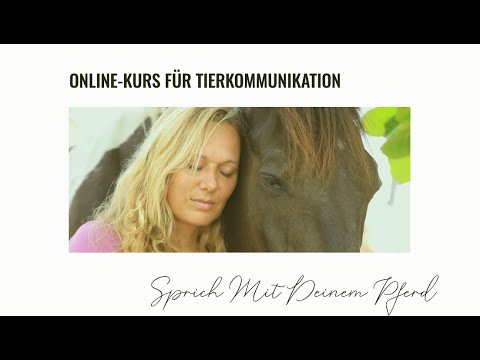 "Sprich mit deinem Pferd" Ein Online-Kurs zum Erlernen der #tierkommunikation für dich & dein Pferd