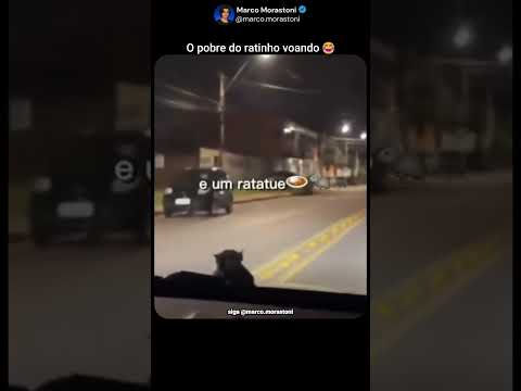 O pobre do ratinho saiu voando🤣 #risada #comédia #felicidade #viral #divertido #memes